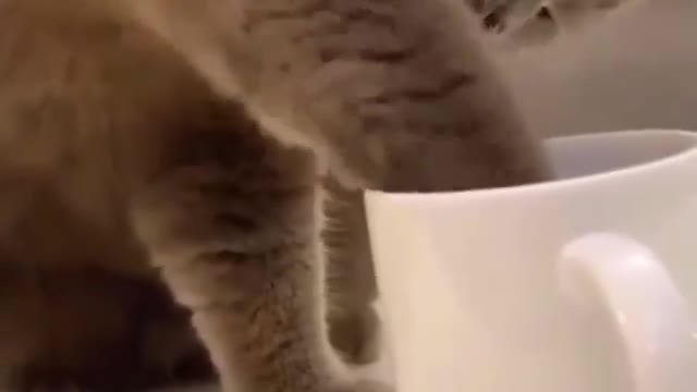 See if you like the same thing