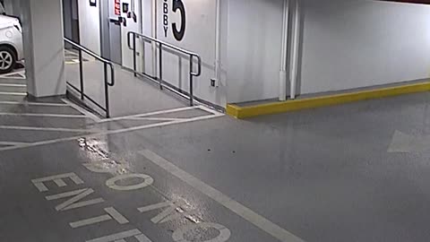 6080RHOBG3G305ANorthLobbyEntry_2021-01-06_20h00min03s793ms.mp4