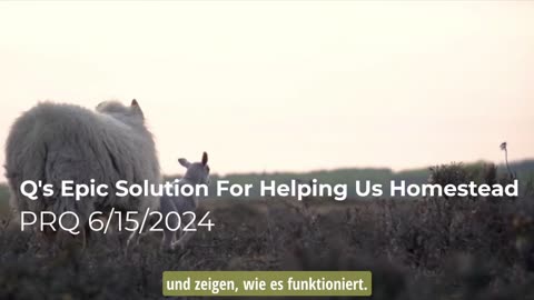 Q's epische Lösung, um uns beim Homestead zu helfen