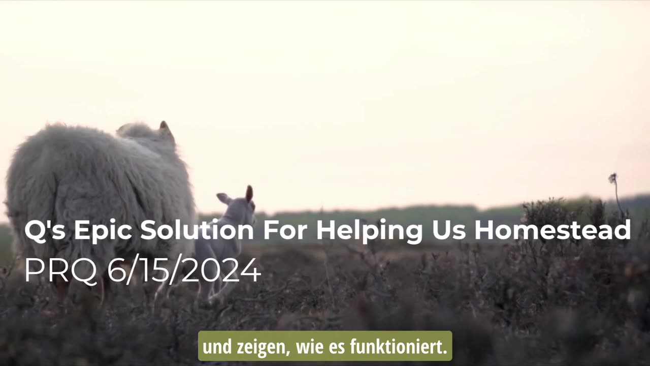 Q's epische Lösung, um uns beim Homestead zu helfen