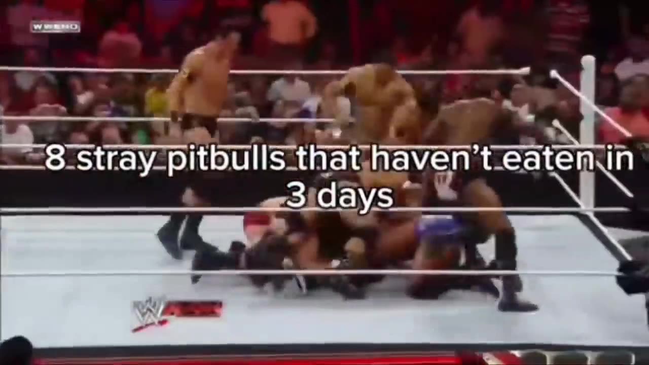 Memes By 69 # 6