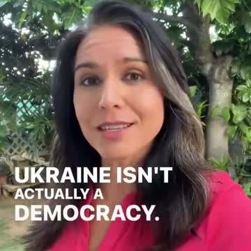 Tulsi Gabbard on Ukraine Russia