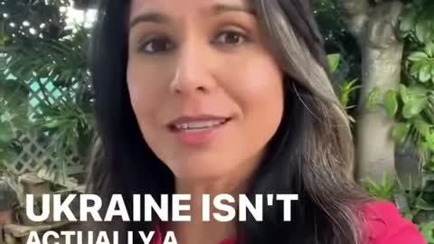 Tulsi Gabbard on Ukraine Russia