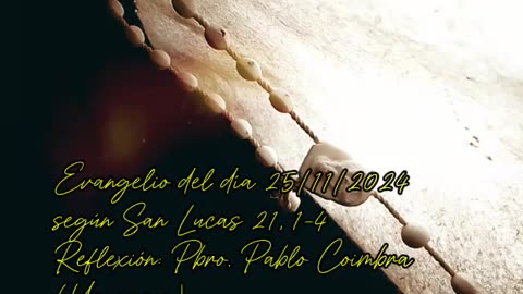 Evangelio del día 25/11/2024 según San Lucas 21, 1-4 - Pbro. Pablo Coimbra