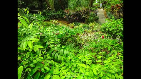 Sunken Gardens