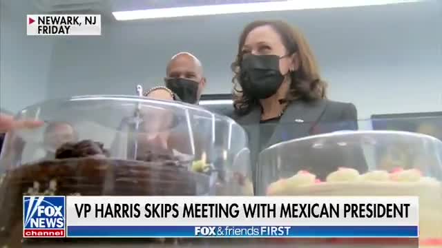 Fox News RIPS APART Kamala Harris for Skipping a Foreign Meeting for Trip to Bakery