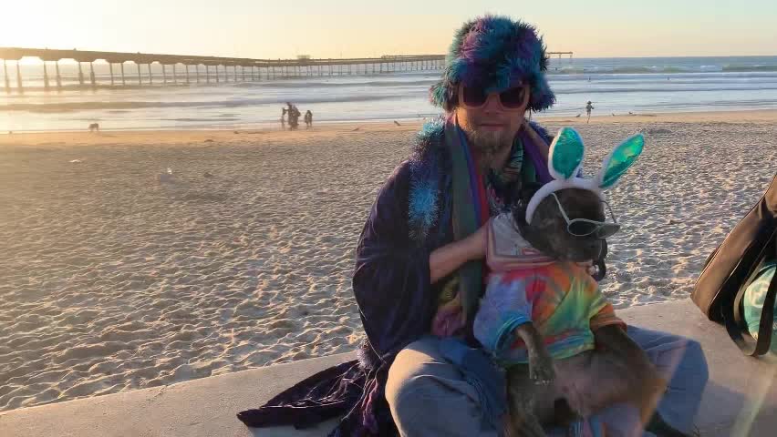 When Pets Are More Important Than Human | It's time to LAUGH with Dog's life