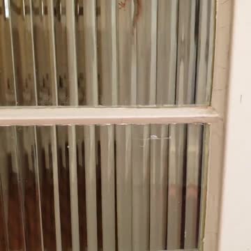 There is a gecko in the house!