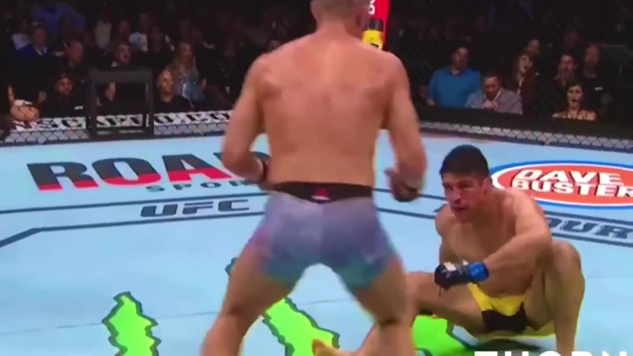 UFC highlights