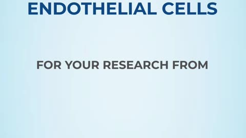 Discover Kosheeka: Your Source for Precision Endothelial Cells. #EndothelialCells #kosheeka