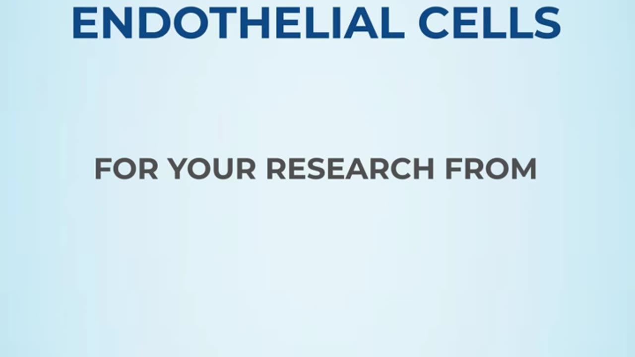 Discover Kosheeka: Your Source for Precision Endothelial Cells. #EndothelialCells #kosheeka