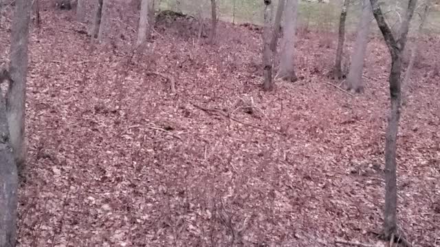 Back to Back Misses!