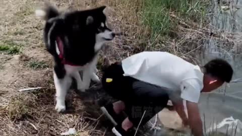Share interesting videos 5