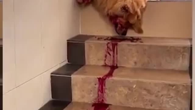 I'm_sorry_don't_ leave_me