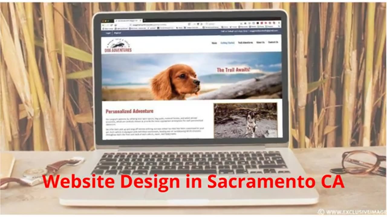 Exclusive Image, llc : Website Design in Sacramento, CA