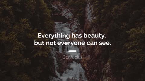 Everything Has Beauty