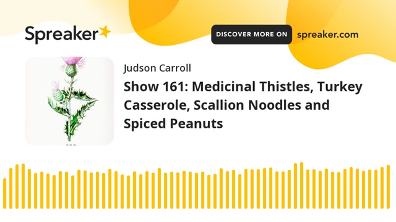 Show 161: Medicinal Thistles, Turkey Casserole, Scallion Noodles and Spiced Peanuts