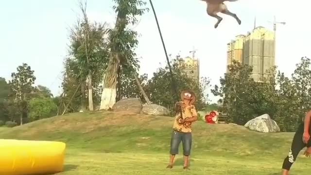 Dog Jumping Very Funny Video