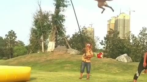 Dog Jumping Very Funny Video