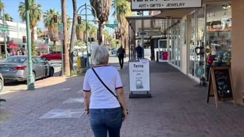 Palm Springs Weekend: A TikTok Video Journal featuring Original Posts and iMovie Edits