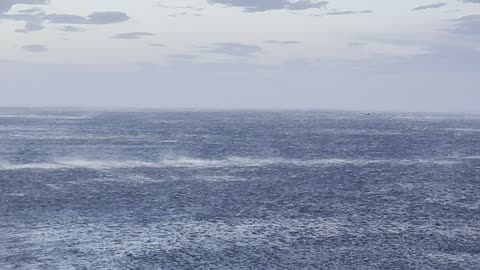 Strong Winds Push Waves Away From Shoreline