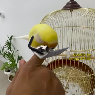 Incredible Wildlife Moments Caught in Stunning Detail