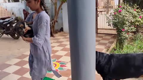 Funny videos dog with baby