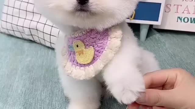 Giving a puppy a haircut.