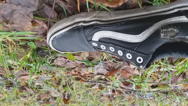 Art House VANS