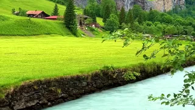 The flowing water is green and the grass is green