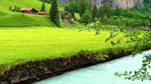 The flowing water is green and the grass is green