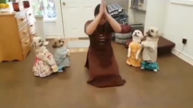 Dogs praying with the onwer.