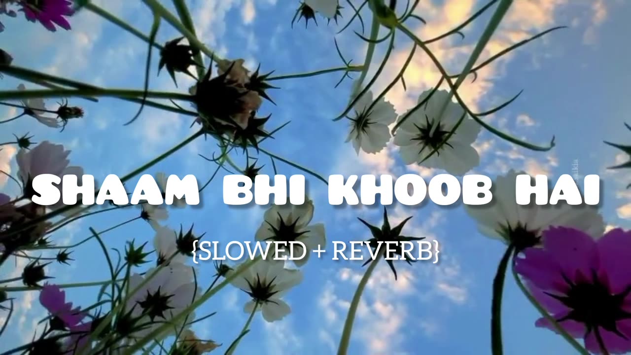 Shaam Bhi Khoob Hai lofi song .karz | Udit Narayan ( slowed + reverb ) @eveningtune #music