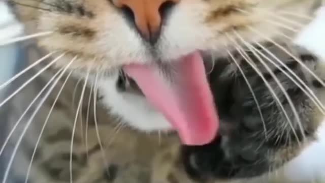 😂🤣🤣