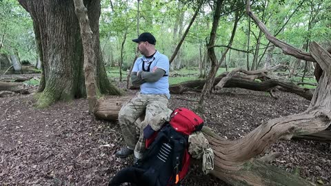 Vlog in the woods. New Forest. Hampshire. England.