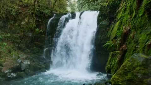 Relaxing Nature Waterfall Sounds for Sleep