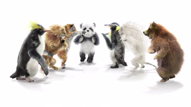 Panda tiger penguin penguins White lion bear Zoo CG fur 3d rendering animal