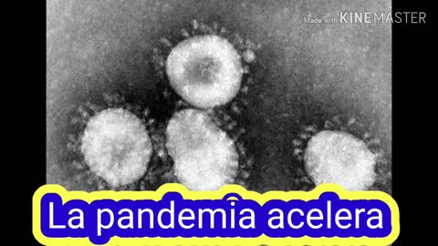 The pandemic asserts