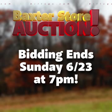 Auction Last Chance!