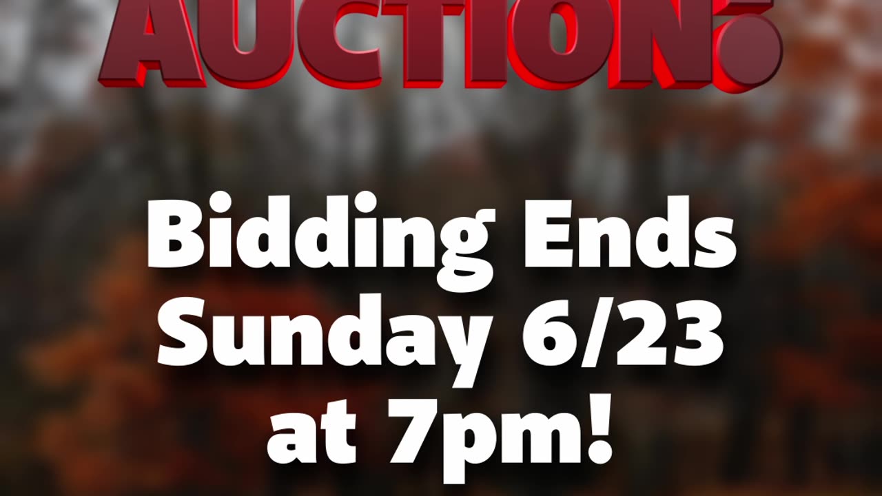 Auction Last Chance!