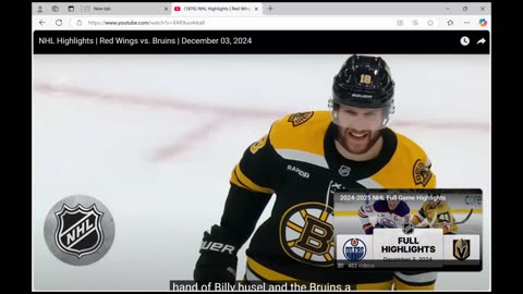 Red Wings vs. Boston 12-3-24 Highlights