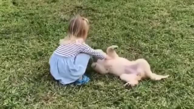 Cute dog and baby are good friends