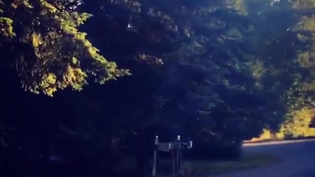 Collab copyright protection - firework in road yellow explosion