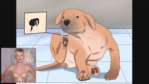 How to tell if your Dog has been Abused in the Past!