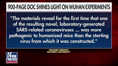 Kilmeade It appears Anthony Fauci lied under oath