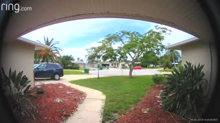 Reptile Rings the Doorbell