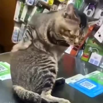 When no one pets you