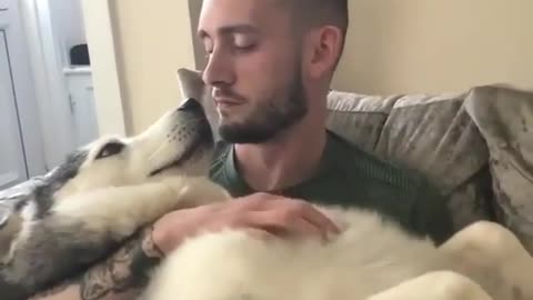 cute animal wants love from his master cute video #funny#funnyanimal#dog