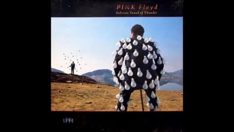 Pink Floyd - Delicate Sound of Thunder