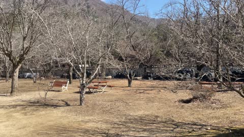 Buddhist temple in winter with beautiful scenery in Korea(7)